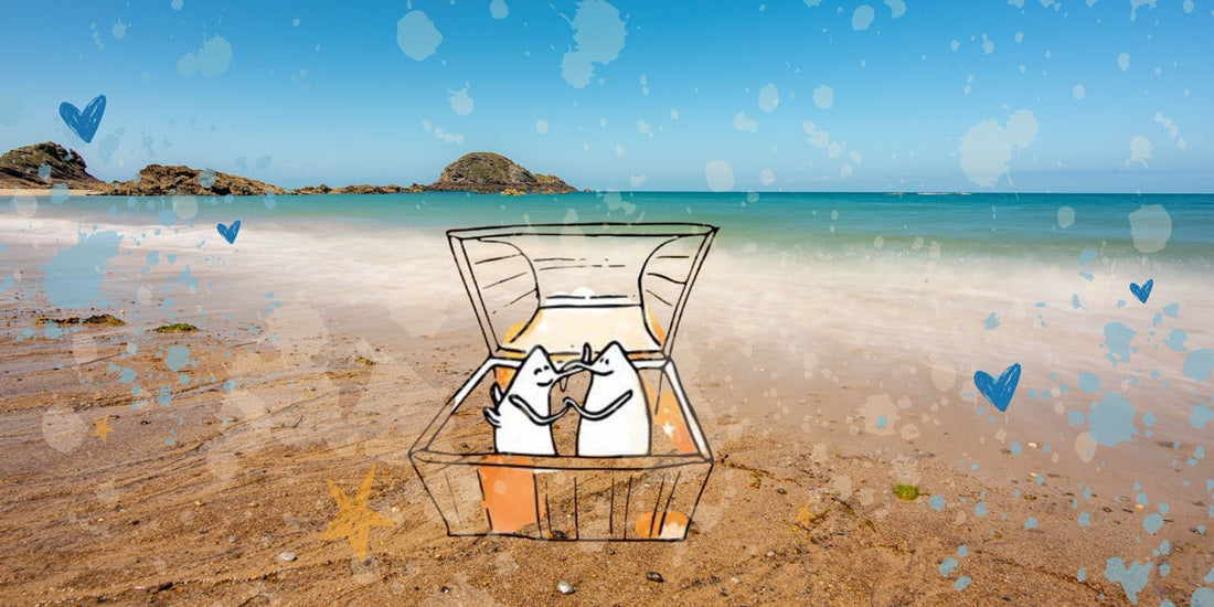 Quiz pour couple : 20 questions à partager pendant les vacances !