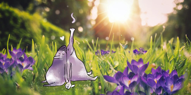 Pourquoi prendre soin de votre relation de couple ?