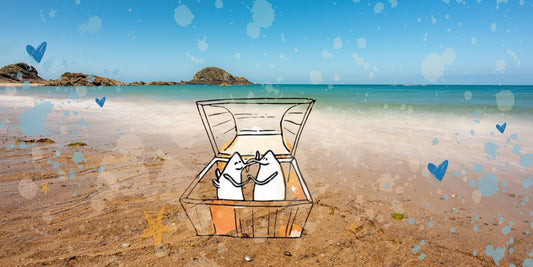 Quiz pour couple : 20 questions à partager pendant les vacances !