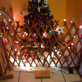 Au pied du sapin